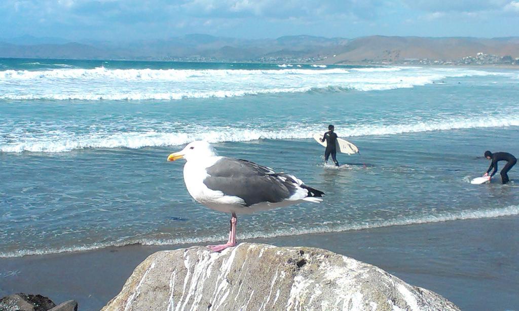 Morro Crest Inn Morro Bay Εξωτερικό φωτογραφία
