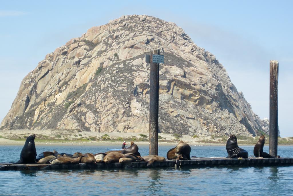 Morro Crest Inn Morro Bay Εξωτερικό φωτογραφία